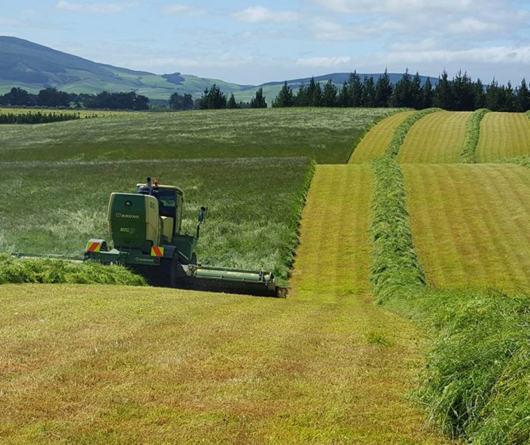 What Is Farm Productivity